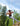 20230603_150220 - Overheng